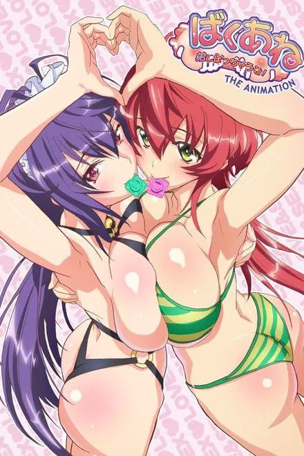 Baku Ane: Otouto Shibocchau zo! THE ANIMATION