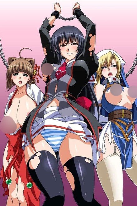 Hikaru, the Chairman of the Intra School Organization|Seitokaichou Hikaru