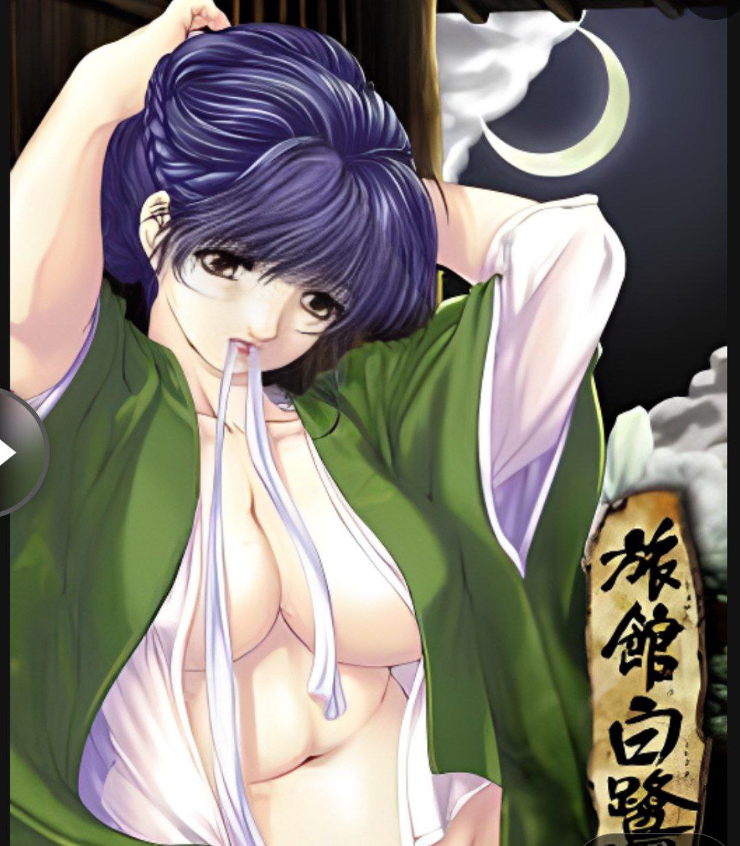 Swallowtail Inn|Ryokan Shirasagi